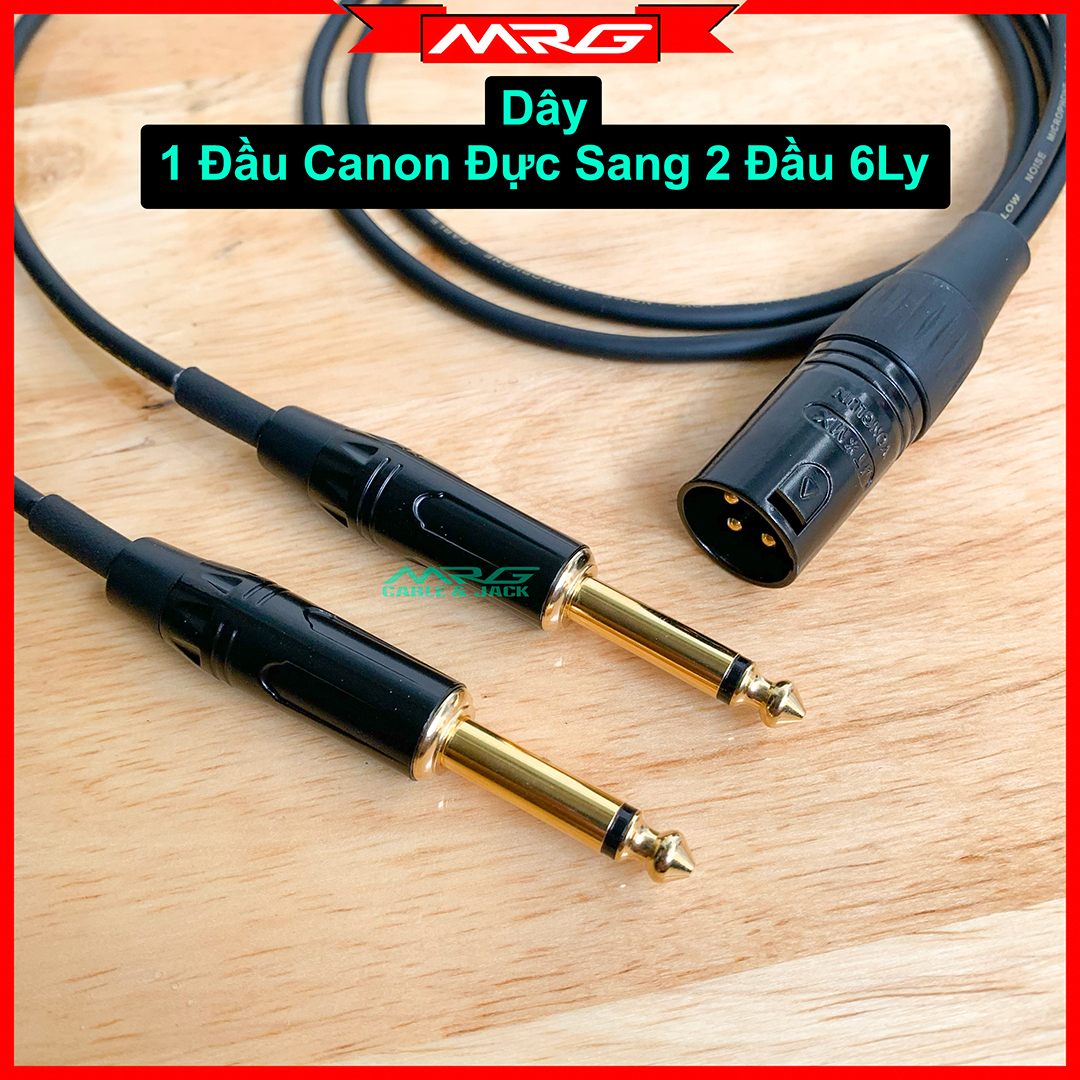 Dây 1 Đầu Canon Đực Sang 2 Đầu 6 Ly, dài 0.5met và 1met, giá 1 dây | dây 1 đầu canon ra 2 đầu 6ly, d