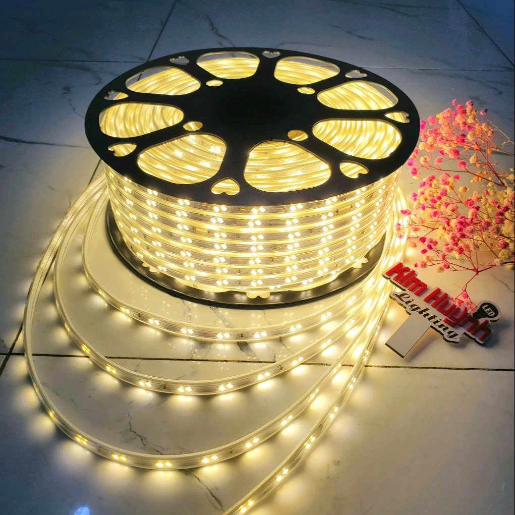 Dây đèn led đôi 2 hàng xéo, bọc nhựa chống thấm trang trí quấn cây hắt trần, đã kèm nguồn cắm không nháy