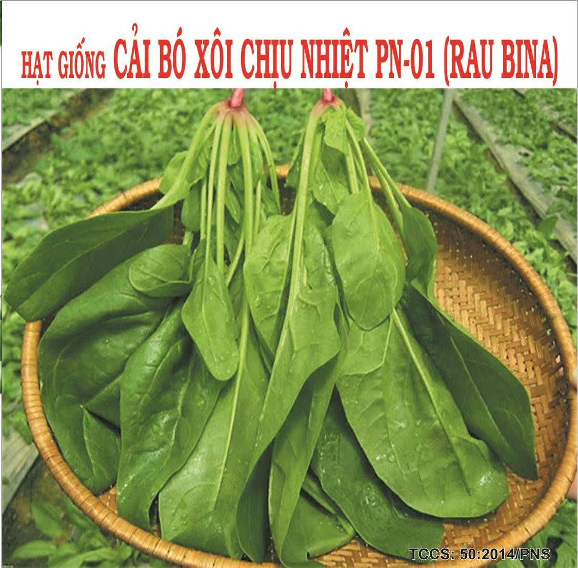 [HCM]CẢI CHÂN VỊT (BÓ XÔI) CHỊU NHIỆT_GÓI 20GRAM CHẤT LƯỢNG CAO .