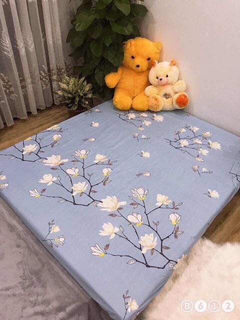 Ga chống thấm cotton dành cho bé yêu KT 1.6 x 2m