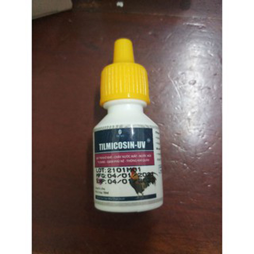 Uv- tilmicosin ngừa khò khè trên gà