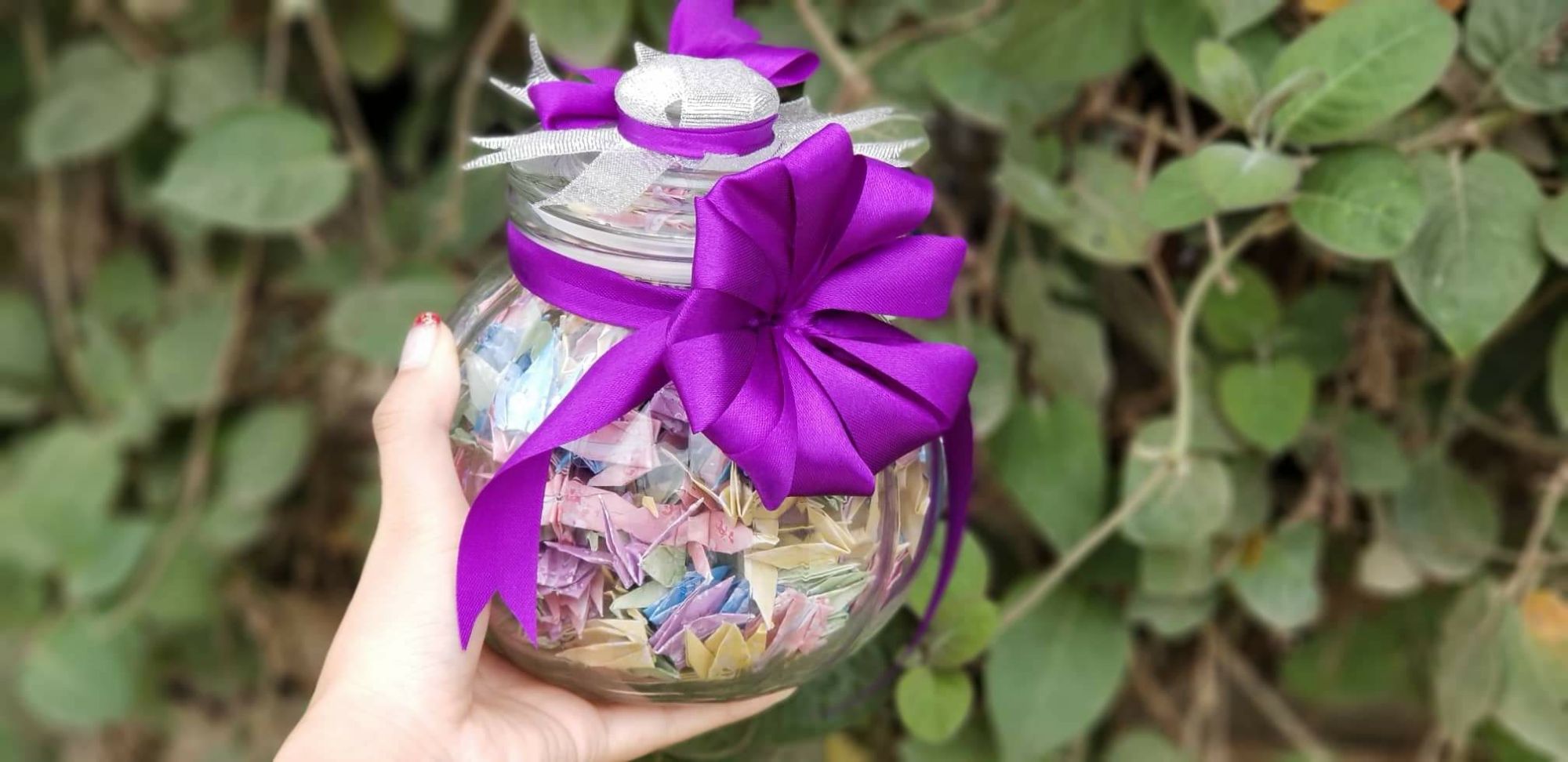 Hạc giấy 5 màu gấp sẵn