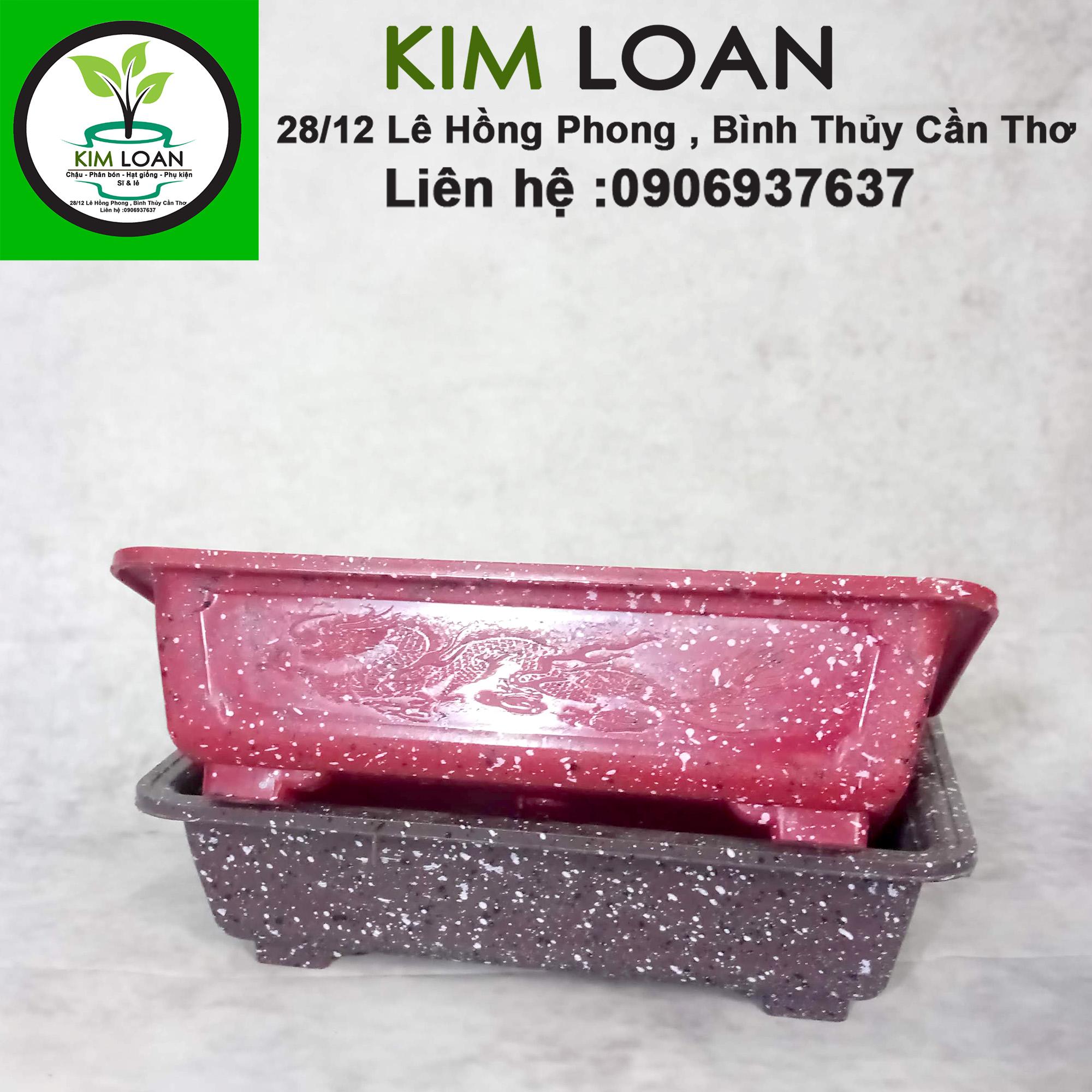 Combo 2 chậu nhựa bonsai chữ nhật vân đá 30x20x8cm