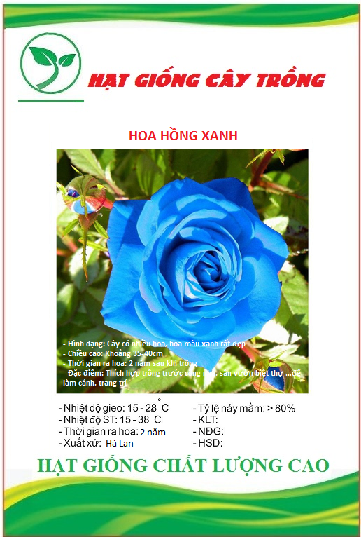 Hạt giống hoa hồng xanh ct249 - gói 10 hạt