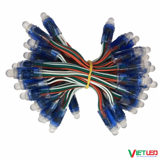 Led đúc f8 ic 1903 full màu dây 50 bóng