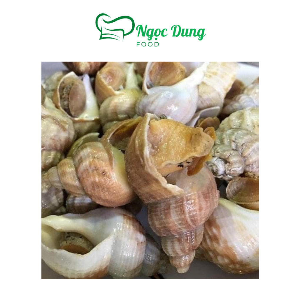 [Hoàn tiền 10%]Ốc BULOT pháp 20-30con kg vĩ 500gr (giao tphcm)