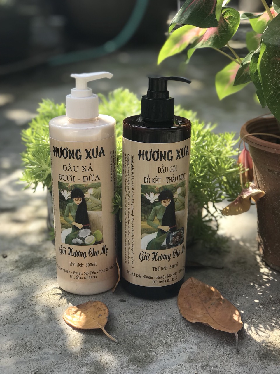 Combo Dầu gội Bồ kết và Dầu xả Bưởi dừa Hương Xưa hết gàu, hết ngứa, giảm rụng tóc, kích thích mọc tóc, giúp tóc dài bóng mượt, chăm sóc tóc chuyên sâu