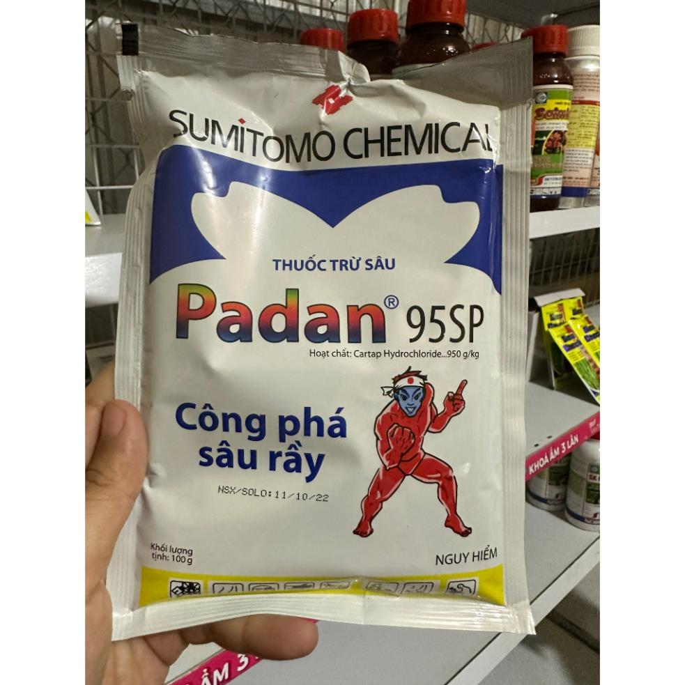 PADAN 95SP/100GR