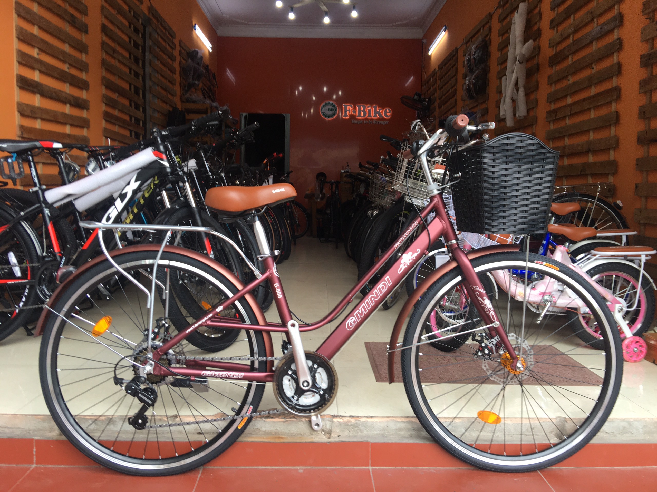 Xe đạp mini GMINDI