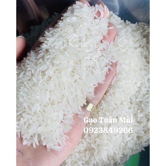 Gạo tám xoan hải hậu