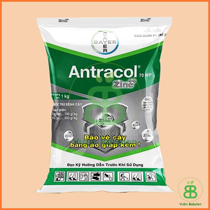 Thuốc Trừ Nấm  Bệnh, Bảo Vệ Cây Antracol 70WP