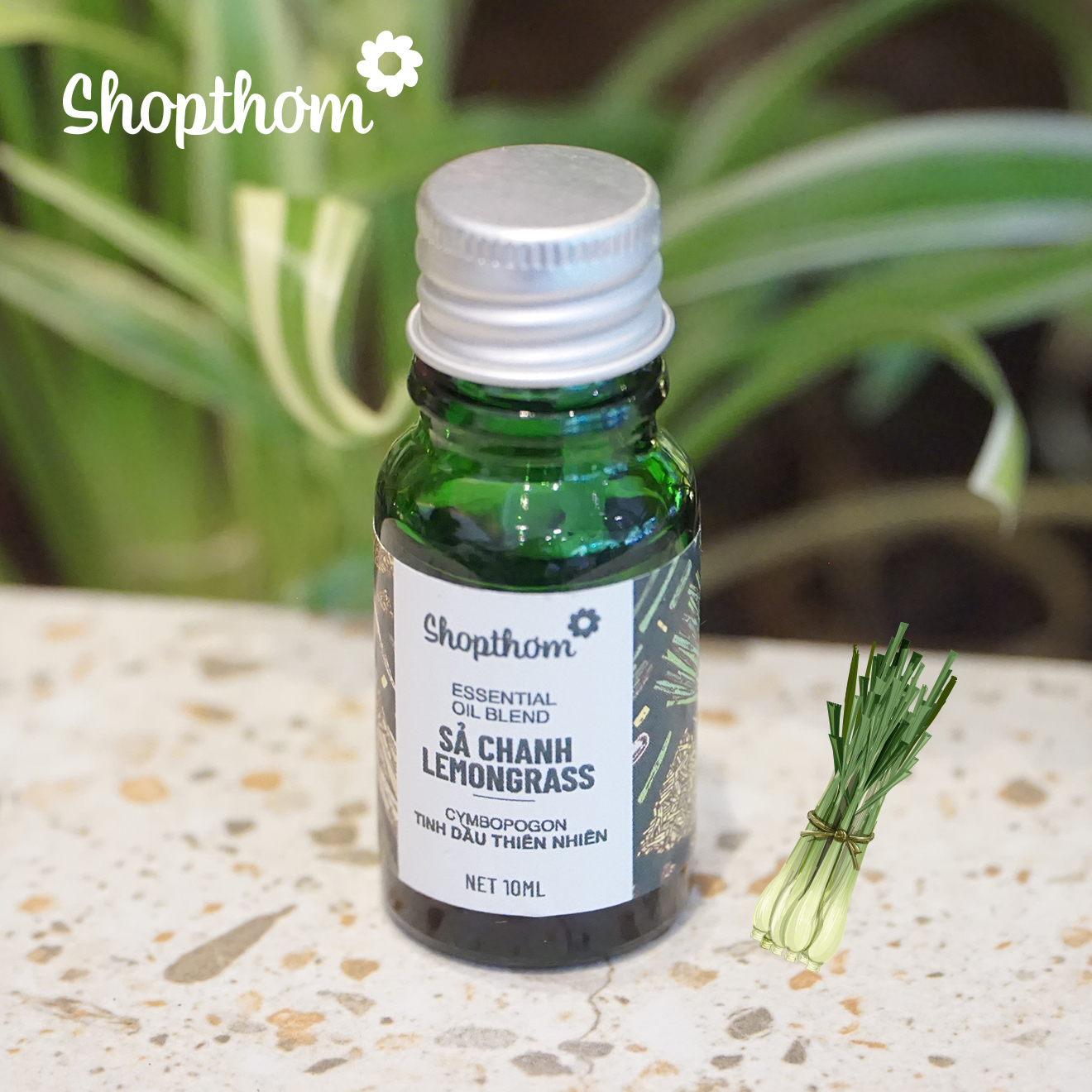 Tinh Dầu Sả Chanh Lemongrass Shop Thơm Nguyên Chất Thiên Nhiên, Xông Phòng, Khử Mùi