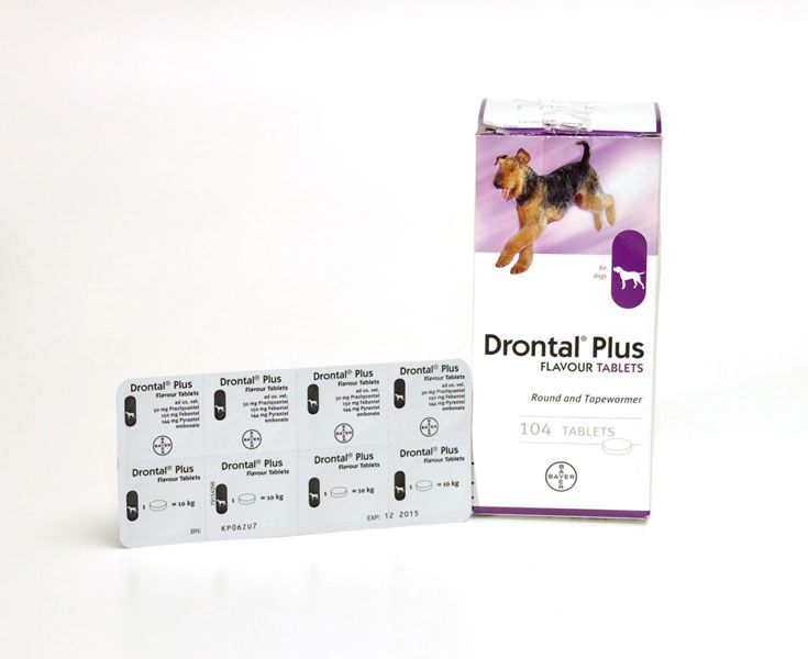 Viên tẩy giun drontal plus cho chó - 1 viên