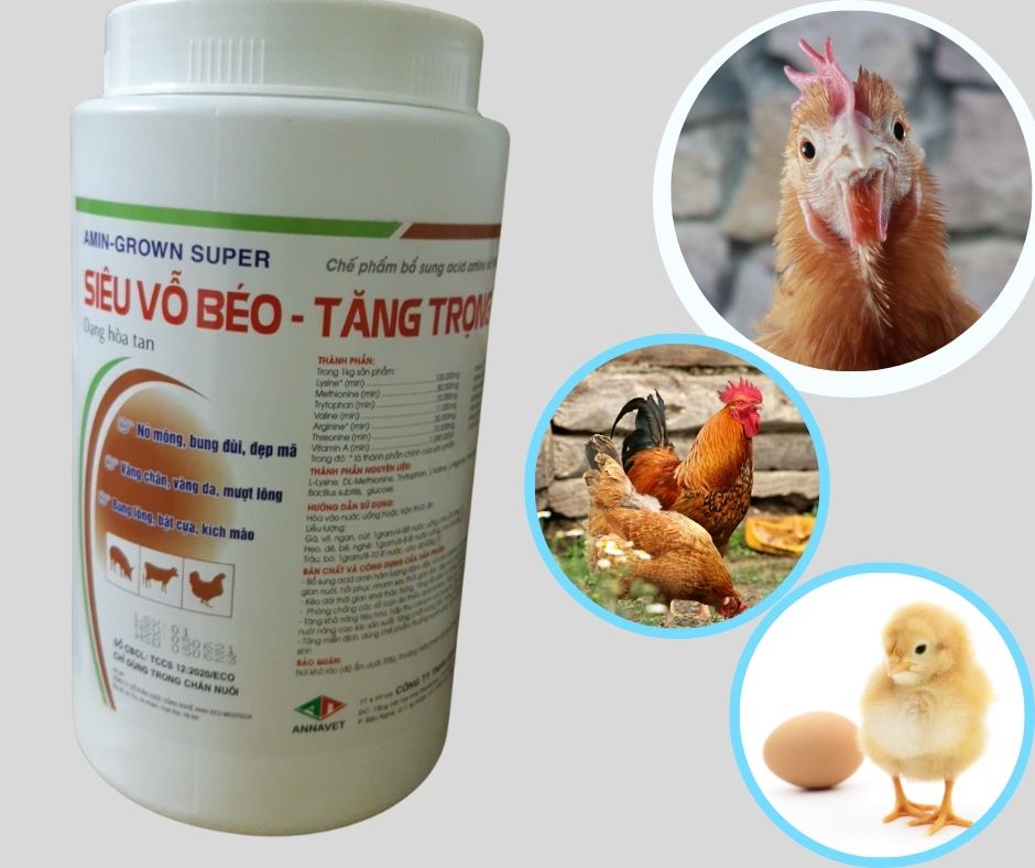 Đạm vỗ béo 1kg kích tăng trọng cho gà nhỏ siêu ra ông gà vịt , kích màu đỏ tích , bung lông bật cựa