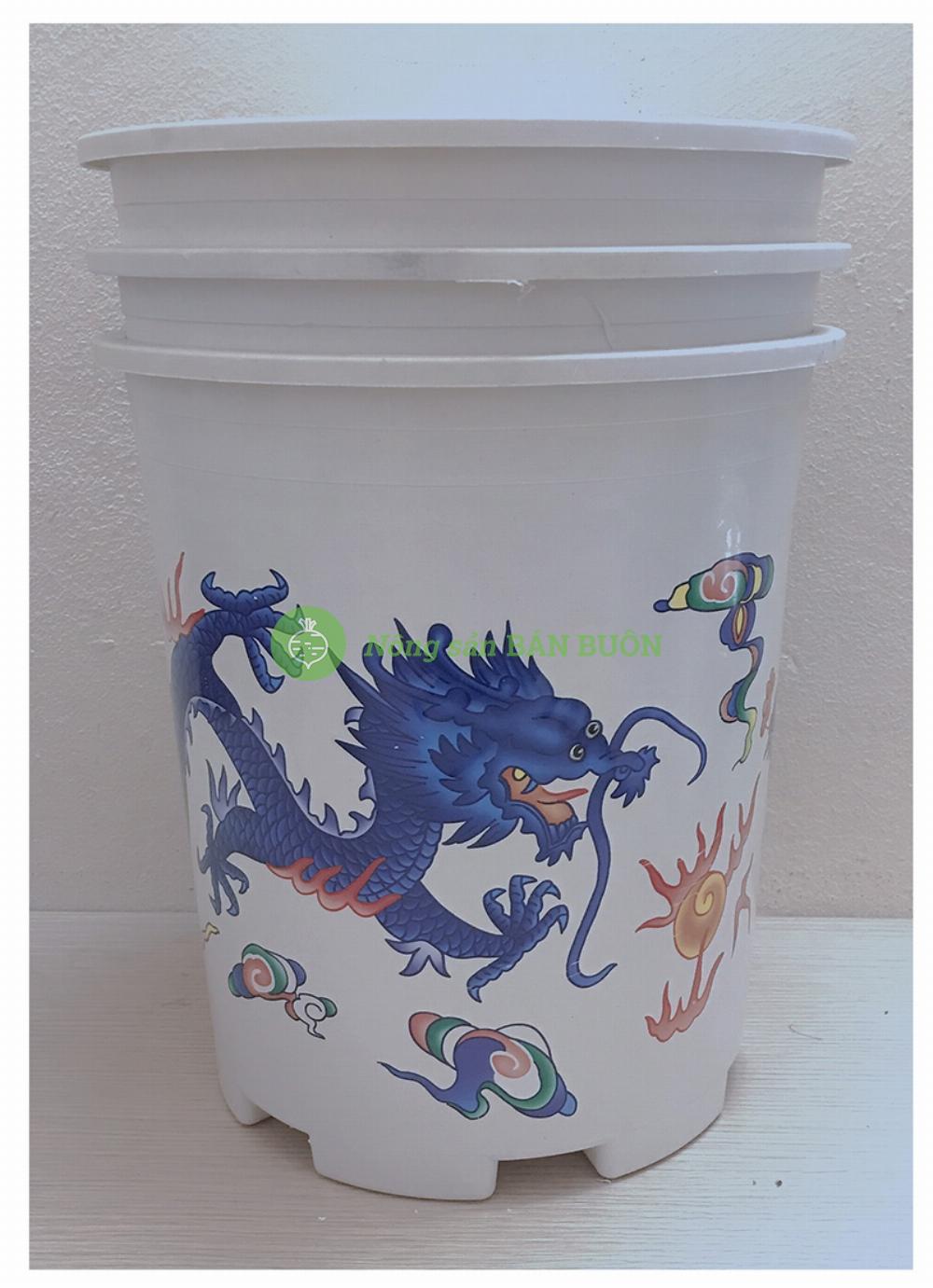 3 chậu nhựa trồng hoa cây cảnh long phụng 21 - kích thước 24x26,5 cm sx bởi nhuavietnam.com