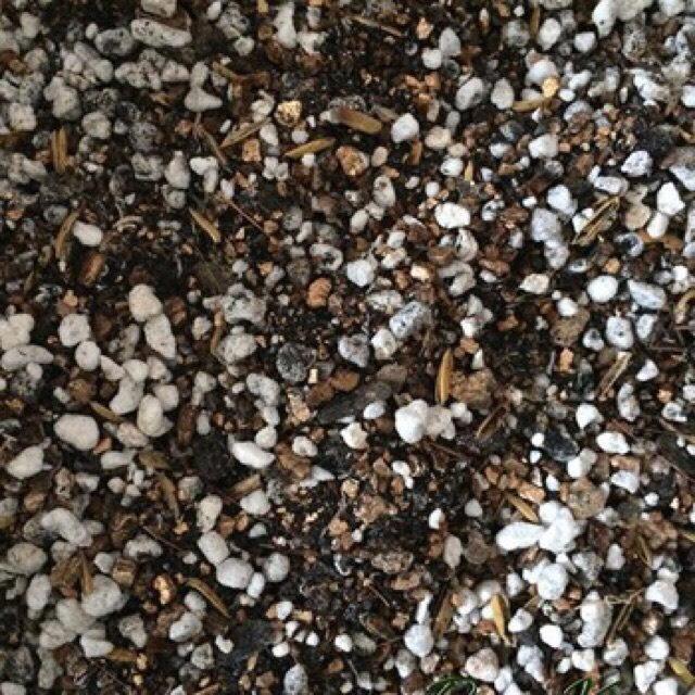 [HCM]Đất dinh dưỡng trồng Xương rồng và Sen đá 500g