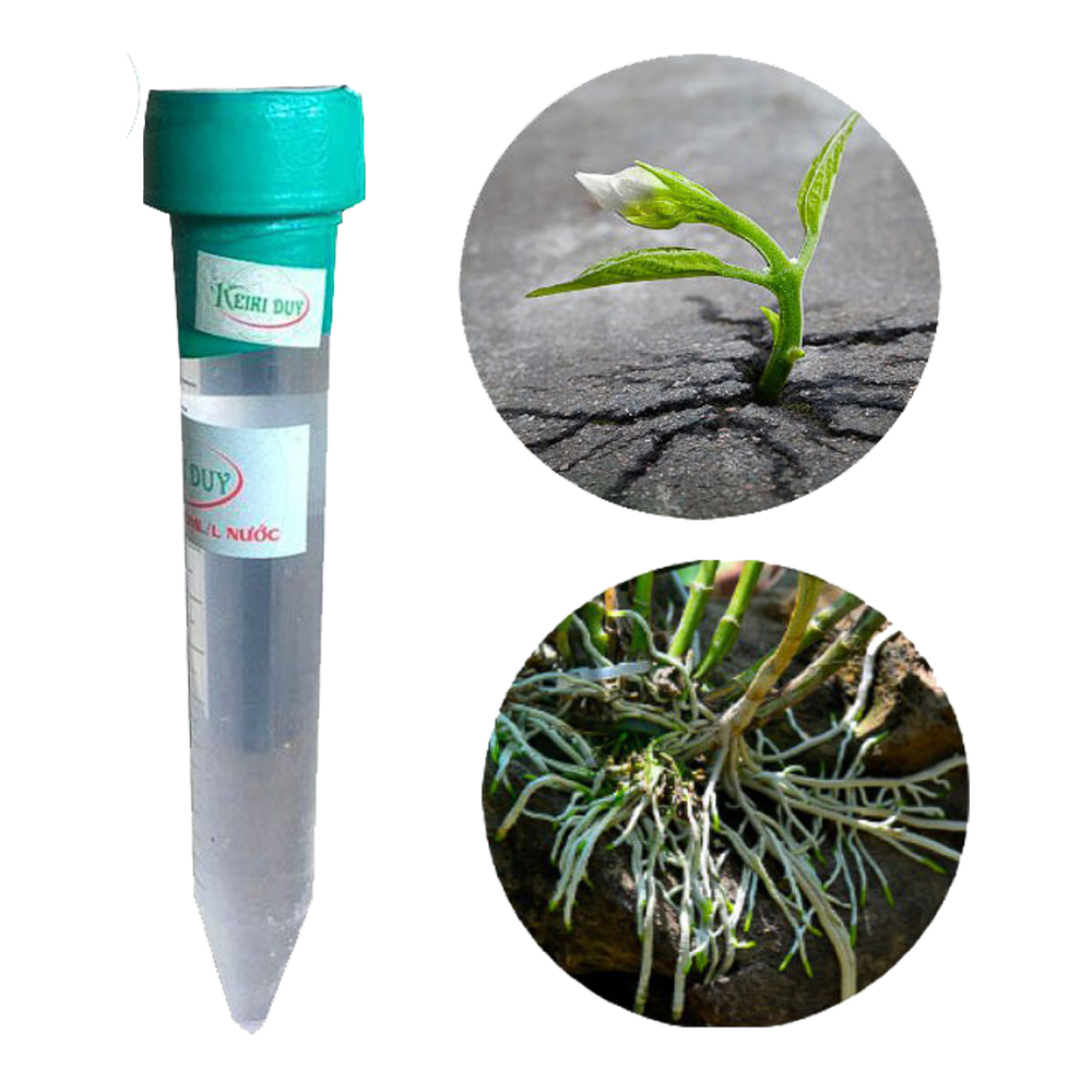 Kie Duy xanh Kích mầm kích chồi,kie Kei ki DUY XANH SPRAY cho mắt ngủ lan phi diệp, thân thòng dạng phun lọ 10ml MạnhOrchid
