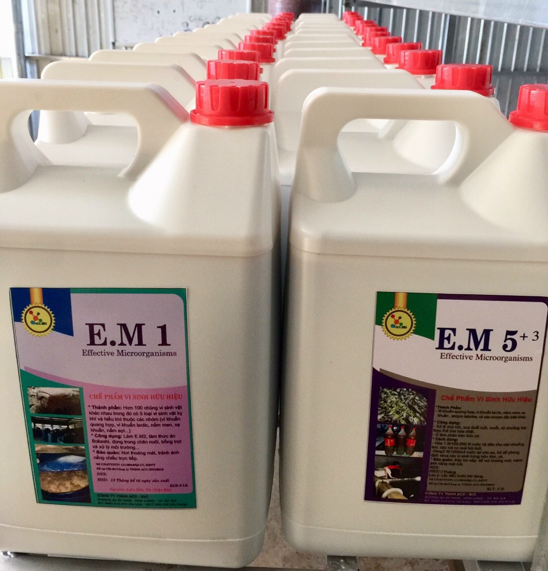 Chế phẩm sinh học e.m 5+3 xử lý hầm cầu, khử mùi hôi chuồng trại, ủ rác nhà bếp, ủ phân...phục vụ canh tác nông nghiệp hữu cơ