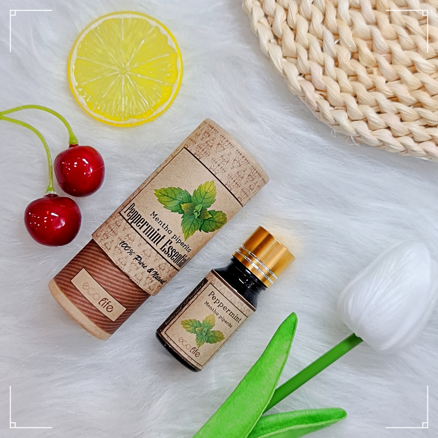 Tinh dầu đuổi chuột lá bạc hà Ecolife