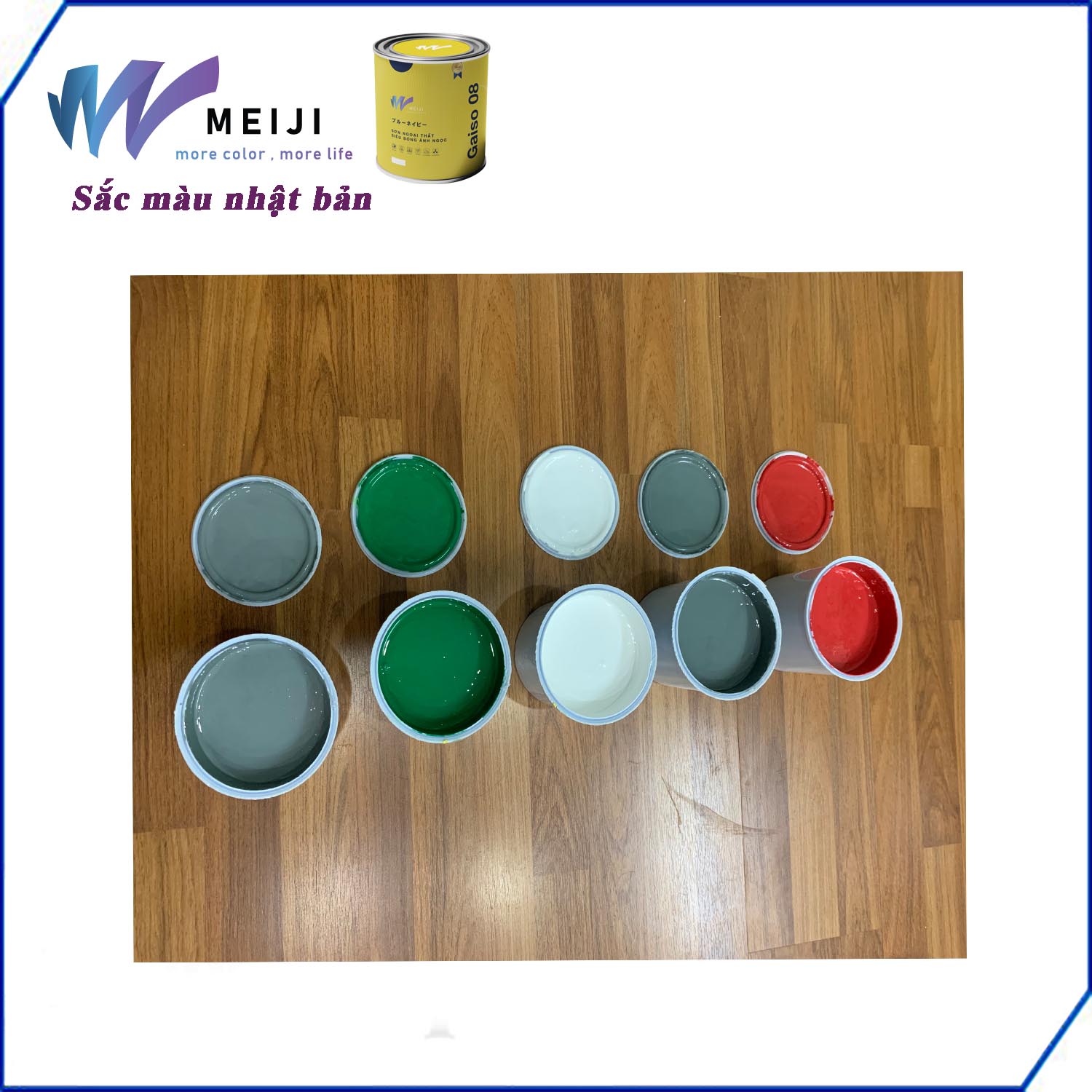 Combo Sơn Chậu Cảnh MEIJI Màu Đen và Bộ Bút Vẽ 12 Cây