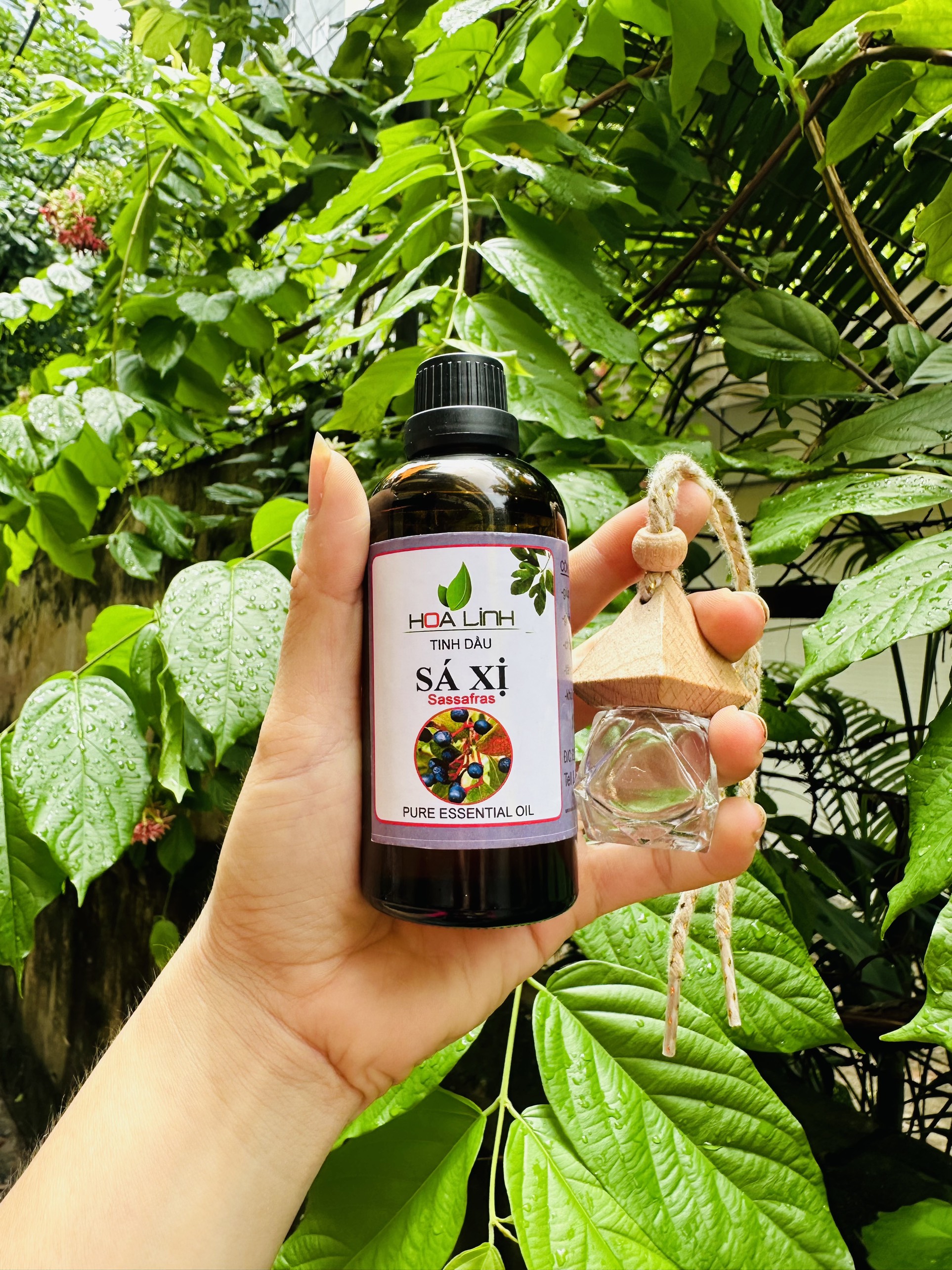 Tinh Dầu Xá Xị 100ML-50ML-30ML ( Tặng vỏ lọ treo xe ) Nguyên Chất | Xông Thơm Phòng, Diệt khuẩn.. - HOA LINH Giá 185,000 Đồng*Miễn phí vận chuyển