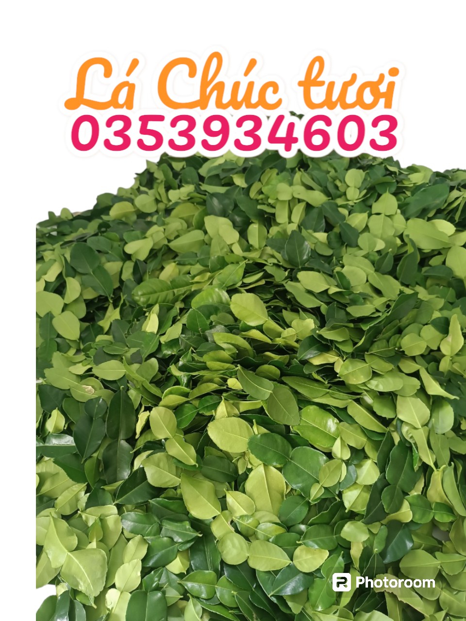 Lá Chúc hình số 8, thơm thanh, dùg để đánh bay các mùi tanh, làm món gà hấp lá chúc 1kg