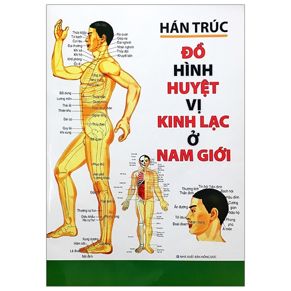Fahasa - đồ hình huyệt vị kinh lạc ở nam giới