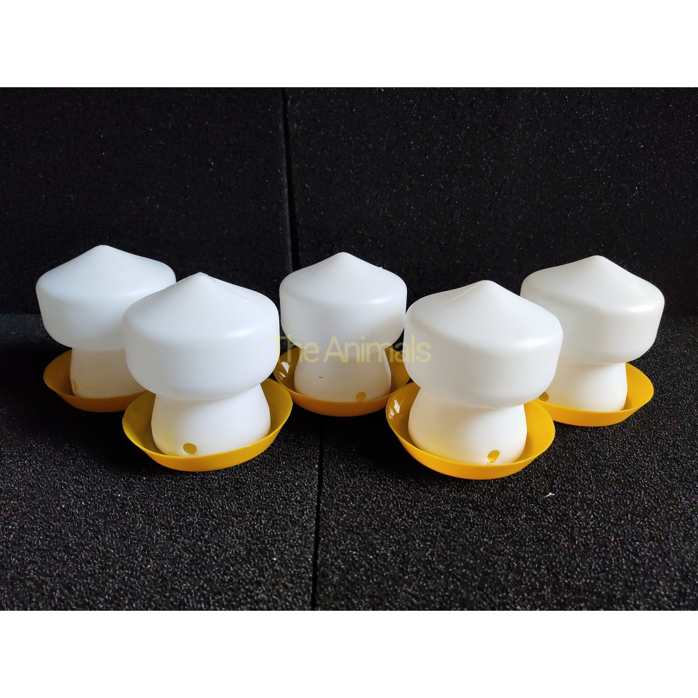 [HCM][Combo 5 cái] Bình nước uống tự động cho chim gà con vẹt