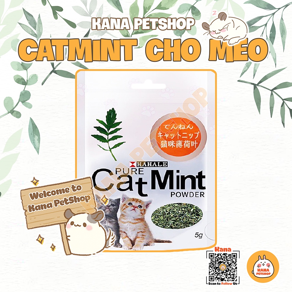 Cỏ catmint cỏ bạc hà cho mèo 🐹freeship🐹 cỏ catnip 5g thư giãn cho mèo