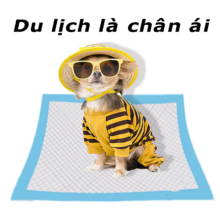 [HCM]Miếng tã lót khay vệ sinh chó / tã lót chuồng chó / giấy lót chuồng chó mèo / tã giấy lót chuồng chó lót sàn xe/ giấy vệ sinh chuột hamster