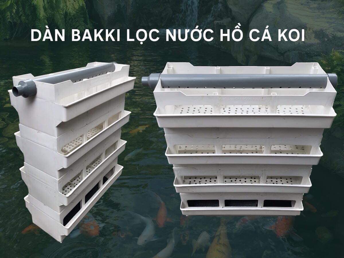 Bakki lọc hồ cá koi 1 tầng kt 68-34-24