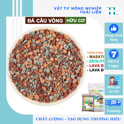 Đá cầu vồng- trồng sen đá - đá mix trộn giá thể, rãi mặt chậu