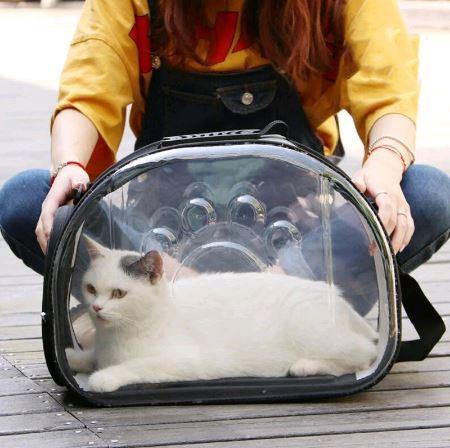 TÚI VẬN CHUYỂN THÚ CƯNG TRONG SUỐT, TÚI VẬN CHUYỂN CHÓ MÈO EVA SIZE M