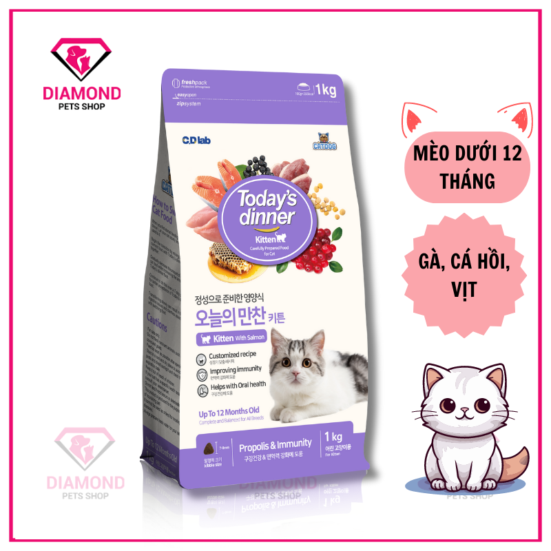 Thức ăn hạt today's dinner kitten dành cho mèo nhỏ túi 1kg