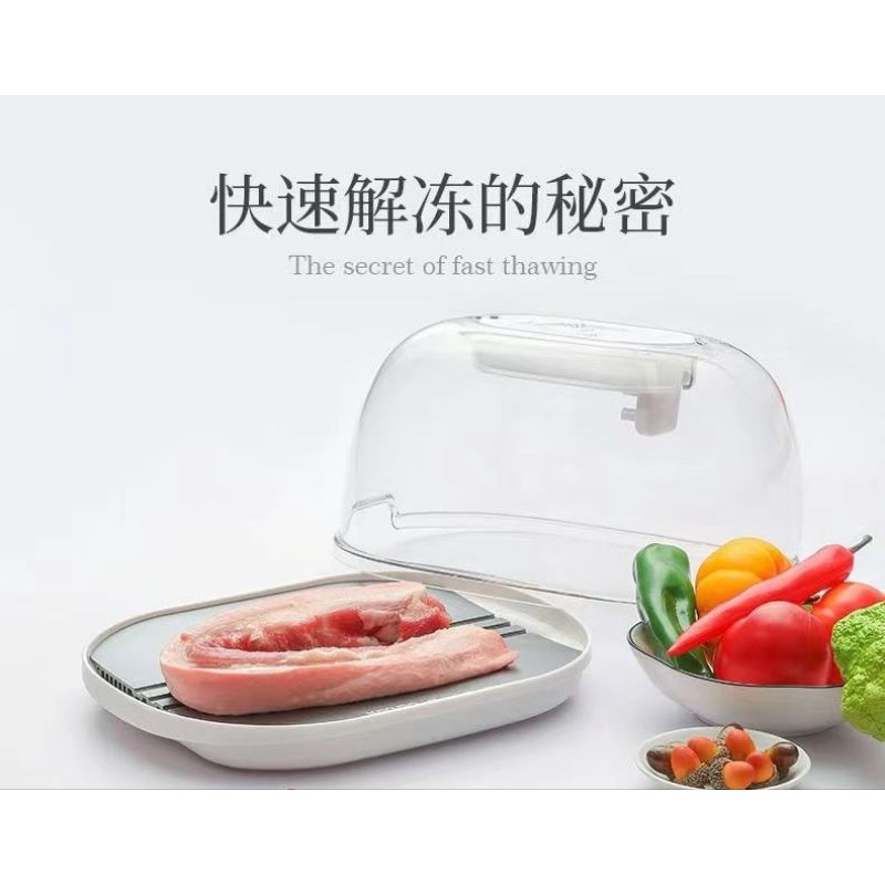 Máy rã đông thực phẩm kayuso jy210801 công nghệ ion an toàn vệ sinh, giã đông nhanh nhiều loại thực phẩm, bảo hành 12 tháng