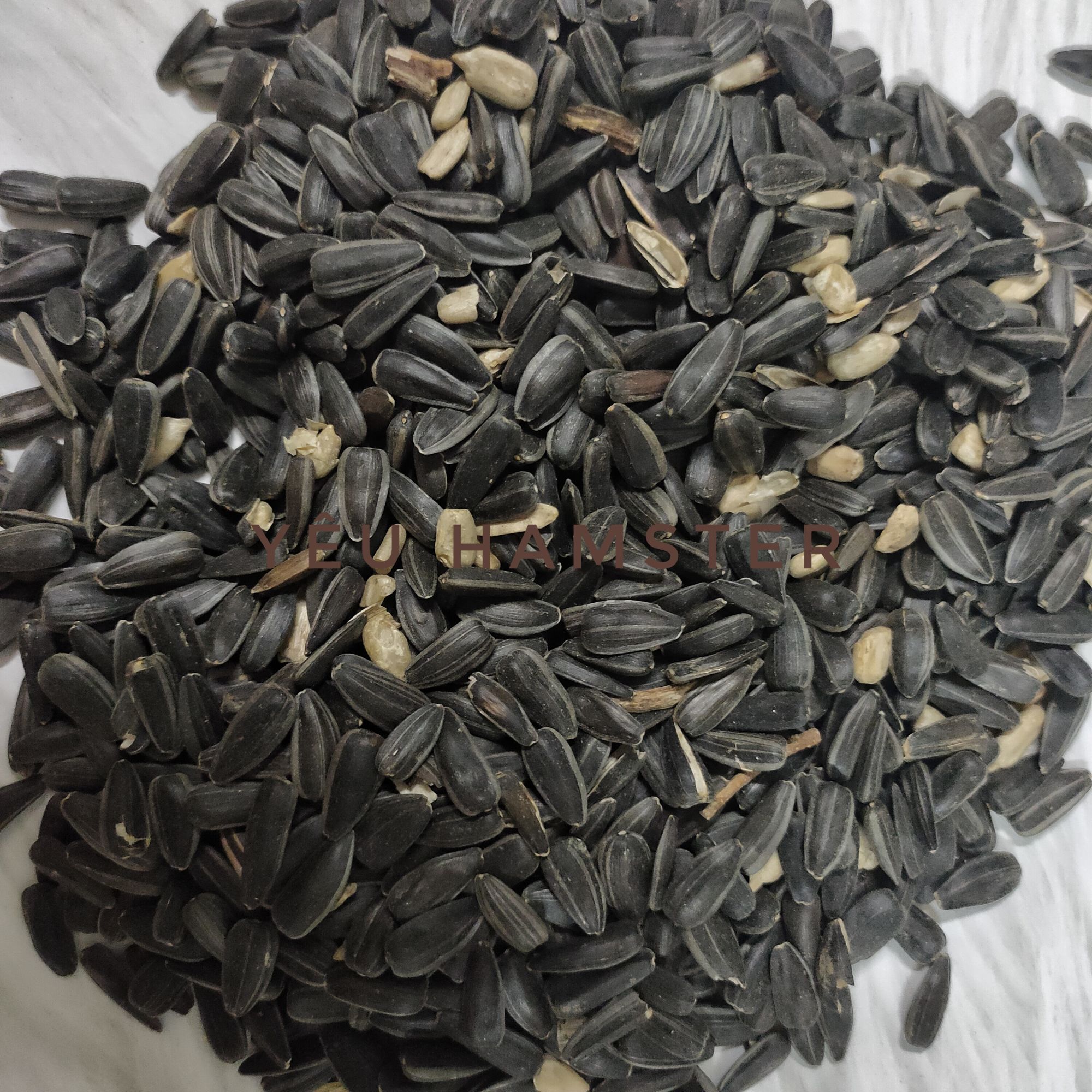 Hướng dương đen, thức ăn cho hamster, thú cưng, vẹt, chim, sóc...