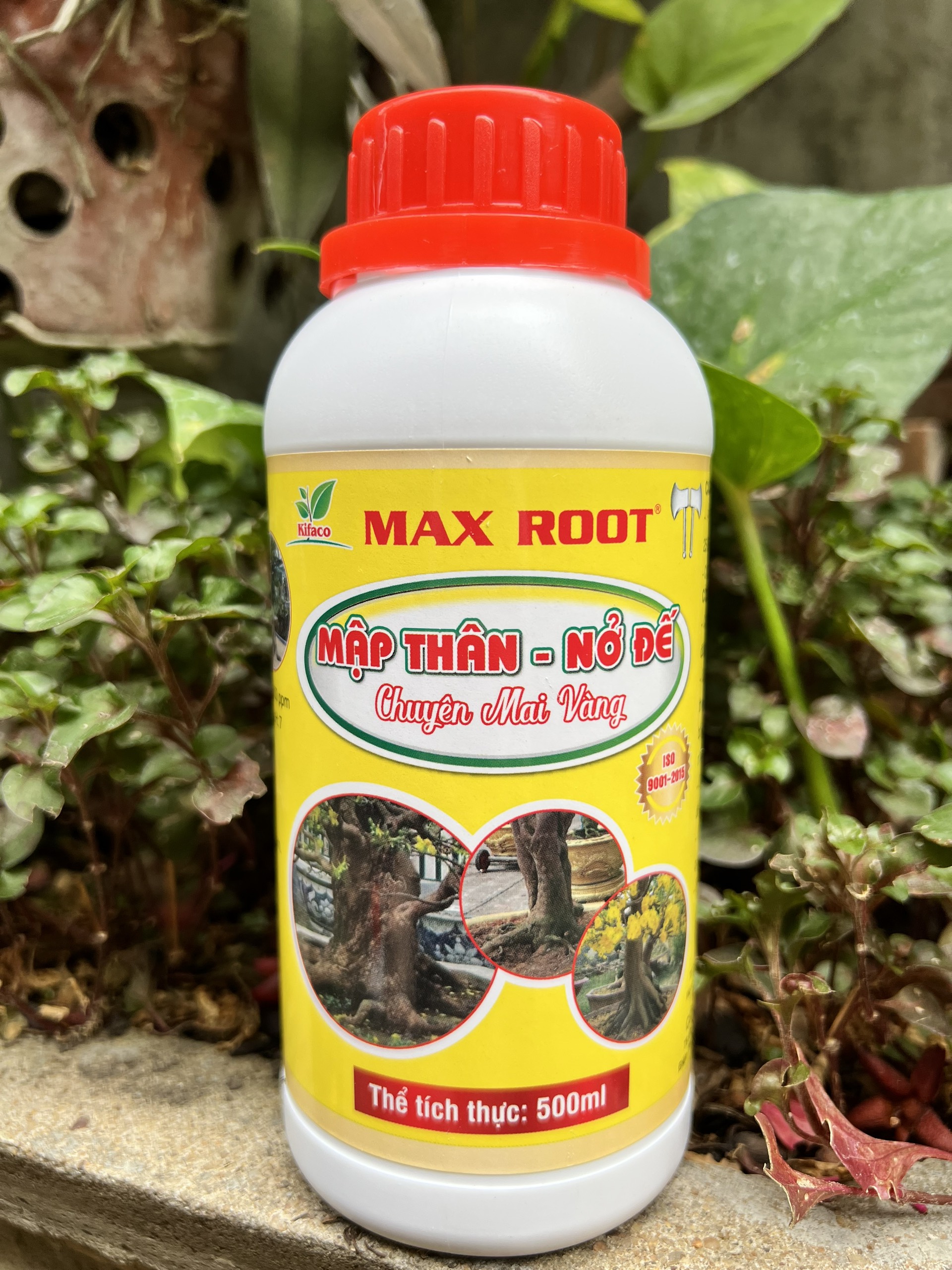 Phân bón mập thân nở đế chuyên mai vàng max root chai 0,5 lít
