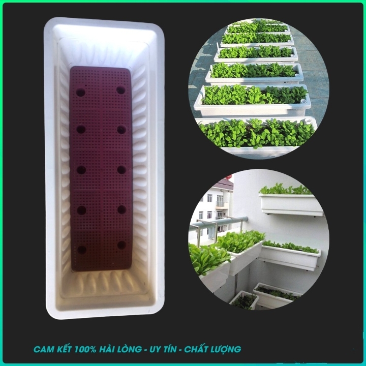 KHAY TRỒNG RAU MẦM CN67 DÀI 67X24X19 LOẠI TO ĐẠI NHỰA NGUYÊN SINH