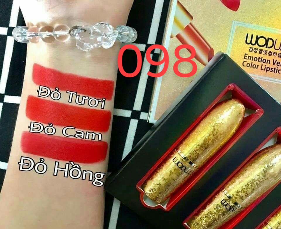 Set 3 Cây Son Wodwod Mh So 04