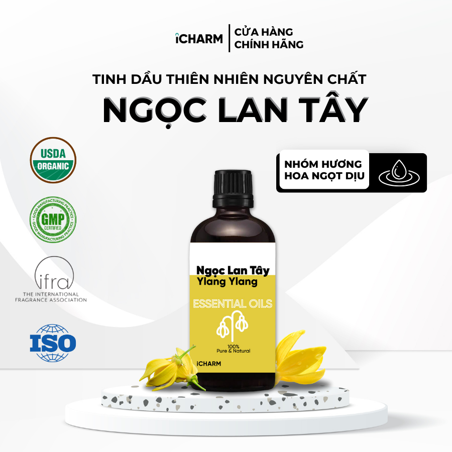 Tinh dầu ngọc lan tây xông phòng 50ml, 100ml iCHARM - Tinh dầu thiên nhiên nguyên chất, Không pha