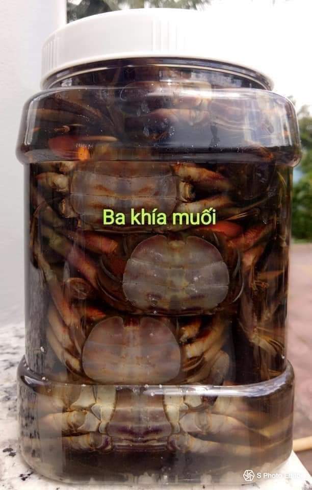 Ba khía muối cà mau - loại 500gr gồm 10 - 14 con, ba khía nguyên con, ba khía cà mau, đặc sản cà mau