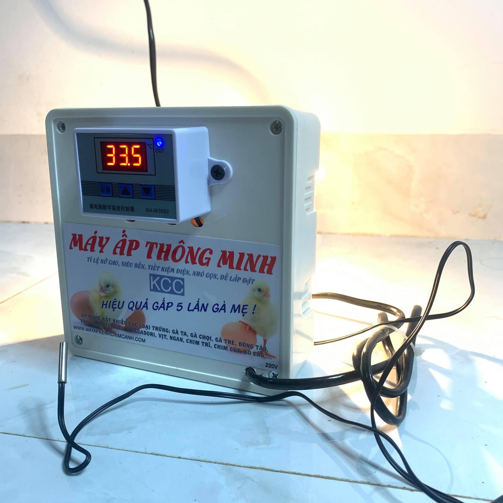 Máy ấp trứng mini thông minh 2021