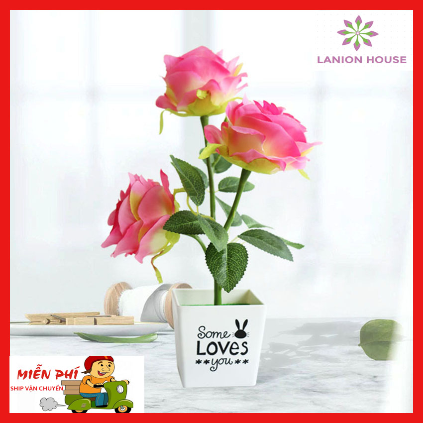 Chậu hoa hồng giả đã trở thành một lựa chọn rất phổ biến trong các gia đình hiện nay. Nó mang đến cho bạn khả năng tạo ra không gian xanh đầy sống động mà không cần quan tâm đến việc chăm sóc cây cối. Với những màu tươi sáng và bông hoa đầy sức sống, chắc chắn chúng sẽ làm cho không gian của bạn trở nên thoải mái hơn.