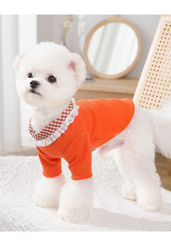 Áo chó mèo - áo len gân mỏng cổ bèo cực cute cho chó mèo phù hợp mùa thu đông
