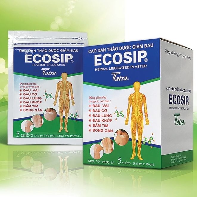 Cao dán thảo dược giảm đau ECOSIP Plaster hộp 20 gói x 5 miếng