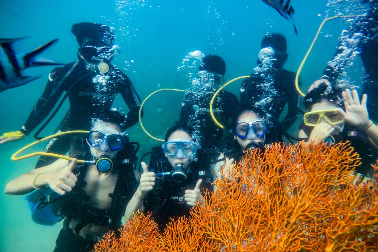 Tour 4 đảo + cáp treo + đi bộ dưới đáy biển