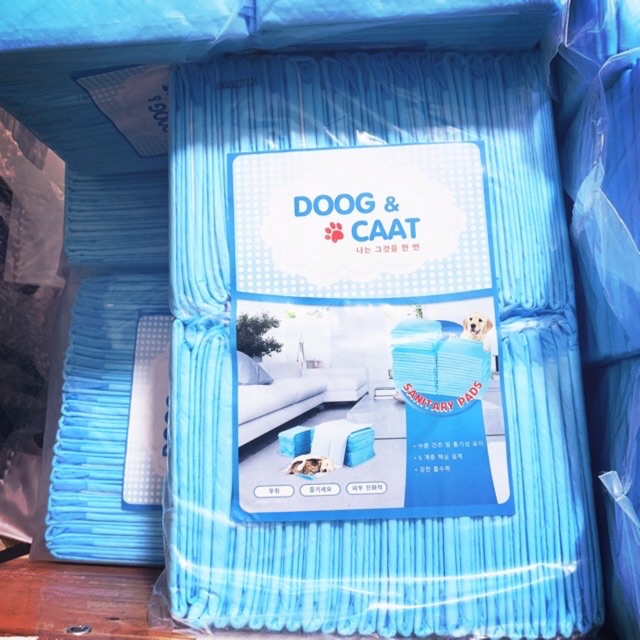 Tã lót chuồng cho thú cưng - Tả lót siêu thấm hút màu xanh