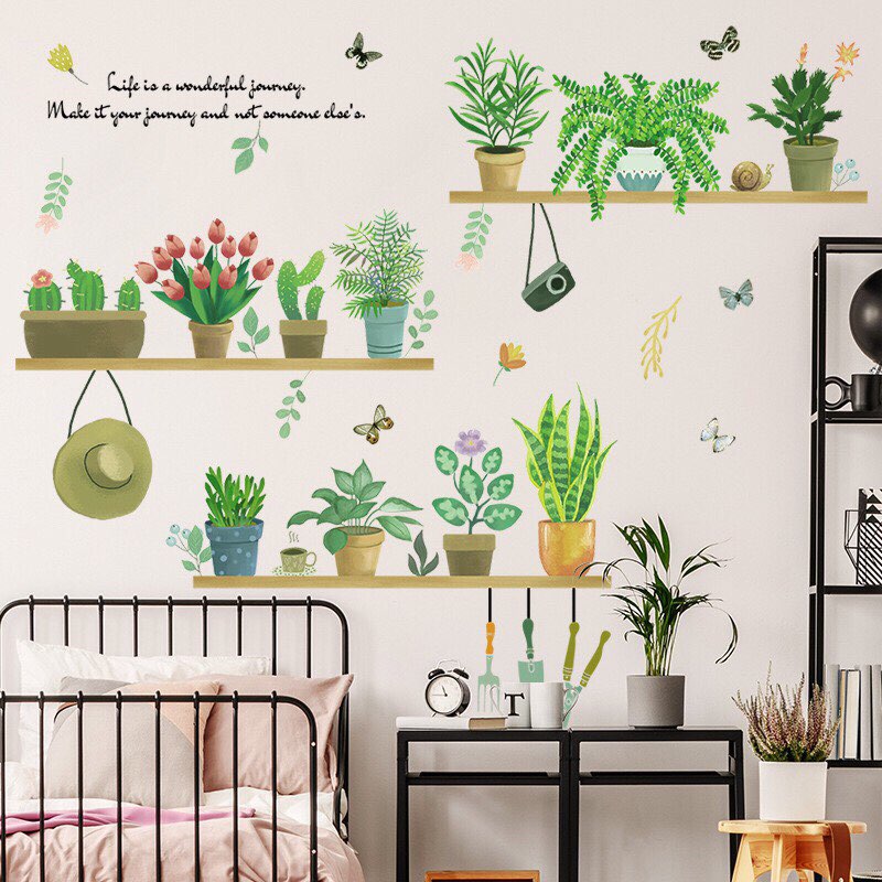 decal dán tường mẫu Hàn Quốc chậu cây kèm kệ số 05