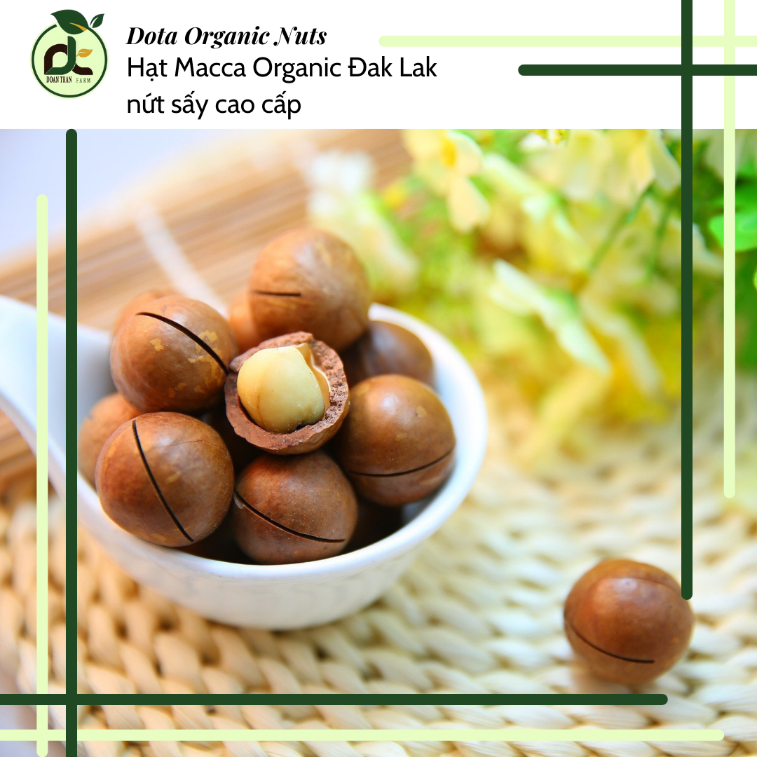 500g hạt Macca Organic Đak Lak nứt sấy size vừa