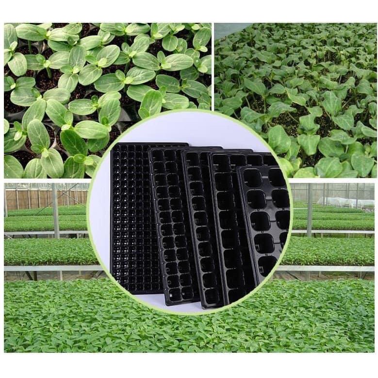 Bộ 5 Khay nhựa ươm cây 50 lỗ Vỉ ươm hạt giống Khay nhựa PVC ươm hạt rau hoa